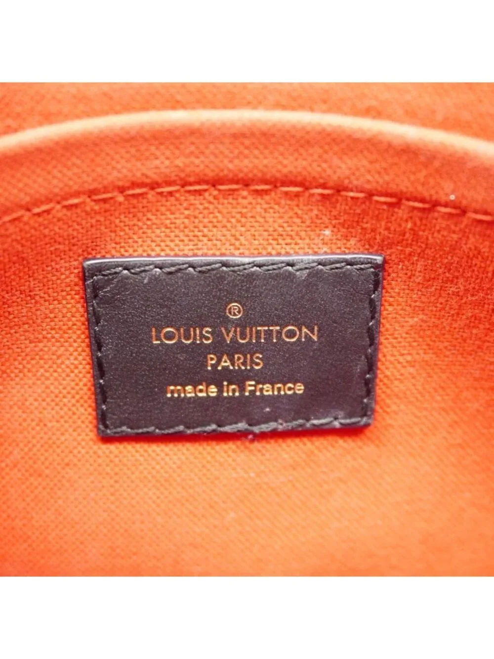 Louis Vuitton Handbag Monogram Giant Reverse On The Go East West Brown 2-Way
